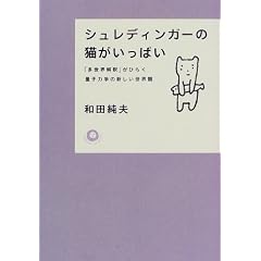 �V�����f�B���K�[�̔L�������ς��\�u�����E���߁v���Ђ炭�ʎq�͊w�̐V�������E�� (�J���f�E�T�C�G���X)