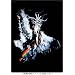 �̕��ꖼ��� ���}�g�^�P�� [DVD]