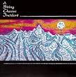 String Cheese Incident Live (Reis)