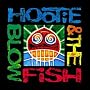 Hootie & the Blowfish