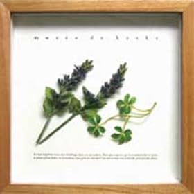 �sMusee de Herbe/Lavender Sugevine�t�n�[�u�A�[�g�z�t�����C���e���A�Ǌ|���ʔ́�