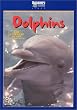 Dolphins: Ultimate Guide [DVD] [Import]