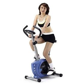 ALINCO �G�A���}�O�l�e�B�b�N�o�C�N AF6600