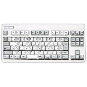 ���v�� NG0100 REALFORCE91U