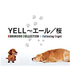YELL~�G�[��/��~�R�u�N���R���N�V����