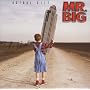 �A�N�`���A���E�T�C�Y ~ MR.BIG