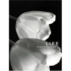 LIFE�\�����z��Y�ʐ^�W