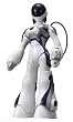 �G�}(Eternal Maiden Actualization)