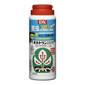 �Z�F���w���| �I���g����DX���� 200��