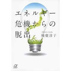 �G�l���M�[��@����̒E�o (�u�k�Ѓv���X�A���t�@����)