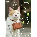 �ɂ��� ���� �������b�� [DVD]