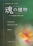 [Book]メヒトヒルト・シェファー エドワード・バッチ魂の植物―バッチの花療法への新しい洞察
