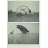 Wolfgang Tillmans
