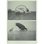Wolfgang Tillmans
