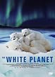 �z���C�g�E�v���l�b�g [DVD]