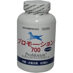�������� �v�����[�V����700 ���E��^���p