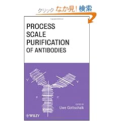 Process Scale Purification of Antibodies