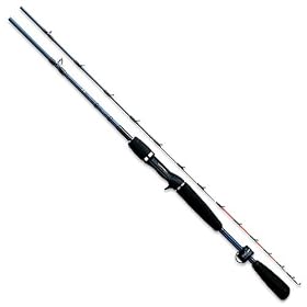 �_�C��(Daiwa) �ɉs �Q�[�� 170�t�B�[�� 695541