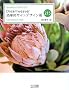 Web���삪3�{�����Ȃ�IDreamweaver�����I�T�C�g�f�U�C���p 215 (Web Designing Books)