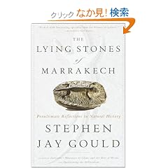 The Lying Stones of Marrakech: Penultimate Reflections in Natural History