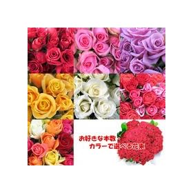 ���D���Ȗ{���Ł@�I�ׂ�ԑ��@�v�����Z�X�@�p�[�v���n�@�y���ԁz�@�y���ԁz�@�y���j���z�L�O���z�y�a�����z�y�t�����[�M�t�g�z�y�o���z