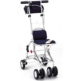 Walking Stecky �j���[�E�H�[�L���O �X���[�G�X.SSS �X�~�N��