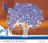[CD]Dragon Ash Harvest Remixes