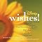 �Ȃ��u���C�N���Ȃ��W���E�u���b�N�}��(Jim Brickman)