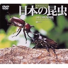 ���{�̍��� DVD�f���}��