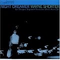 Night Dreamer