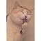 [�@�Q�O�P�P �L�G�{���L�{ ������. ]