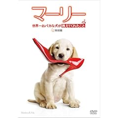 �}�[���[ ���E�ꂨ�o�J�Ȍ��������Ă��ꂽ���� (���ʕ�) [DVD]