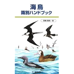 �C�����ʃn���h�u�b�N