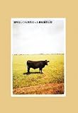 �ꏊ�͂������悾���� (P�]Vine BOOKs)