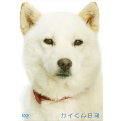 �J�C������a [DVD]