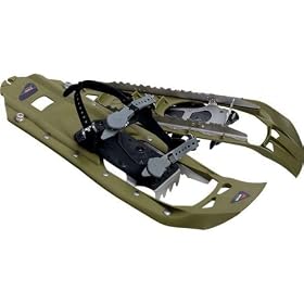 MSR(�G���G�X�A�[��) EVO 41543