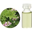 �����̖� C �[���j�E�� �G�b�Z���V�����I�C�� 10ml�yHTRC3�z