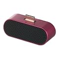 iBUFFALO Walkman�p�h�b�N�X�e���I�X�s�[�J�[ BSSP24WMG