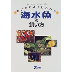 ��ɂƂ�悤�ɂ킩��C�����̎����� (�C���h�A�l�C�`���[�V���[�Y)