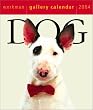 Dog Gallery 2004 Calendar (Page-A-Day Gallery Calendars)