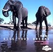 Kiss your dreams ~TV�T�E���h�g���b�N�uNHK�n��! �ӂ����厩�R�v