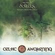 Celtic Awakening