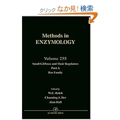 【クリックでお店のこの商品のページへ】Small GTPases and Their Regulators, Part A: Ras Family, Volume 255 (Methods in Enzymology): John N. Abelson, Melvin I. Simon, W. E. Balch, Channing J. Der, Alan Hall: 洋書