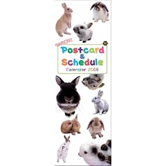 �������ƕ�炷Postcard&Schedule Calen (2008) (�m�J�����_-�n)