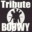 BO��WY TRIBUTE (CCCD)