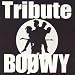 BO��WY TRIBUTE (CCCD)