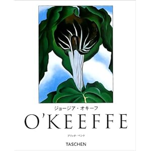 �I�L�[�t (�j���[�x�[�V�b�N) (�j���[�x�[�V�b�N�E�V���[�Y)  