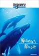 �f�B�X�J�o���[�`�����l�� �~���䂽���A�̂��� [DVD]