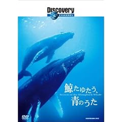 �f�B�X�J�o���[�`�����l�� �~���䂽���A�̂��� [DVD]