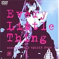 Concert Tour Spirit 2000 [DVD]